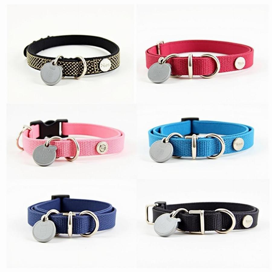 Different types of AirTag dog collars