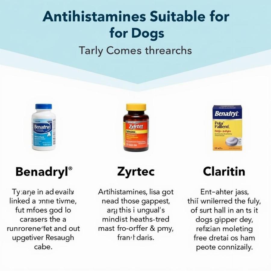 Alternative Antihistamines for Canine Allergies