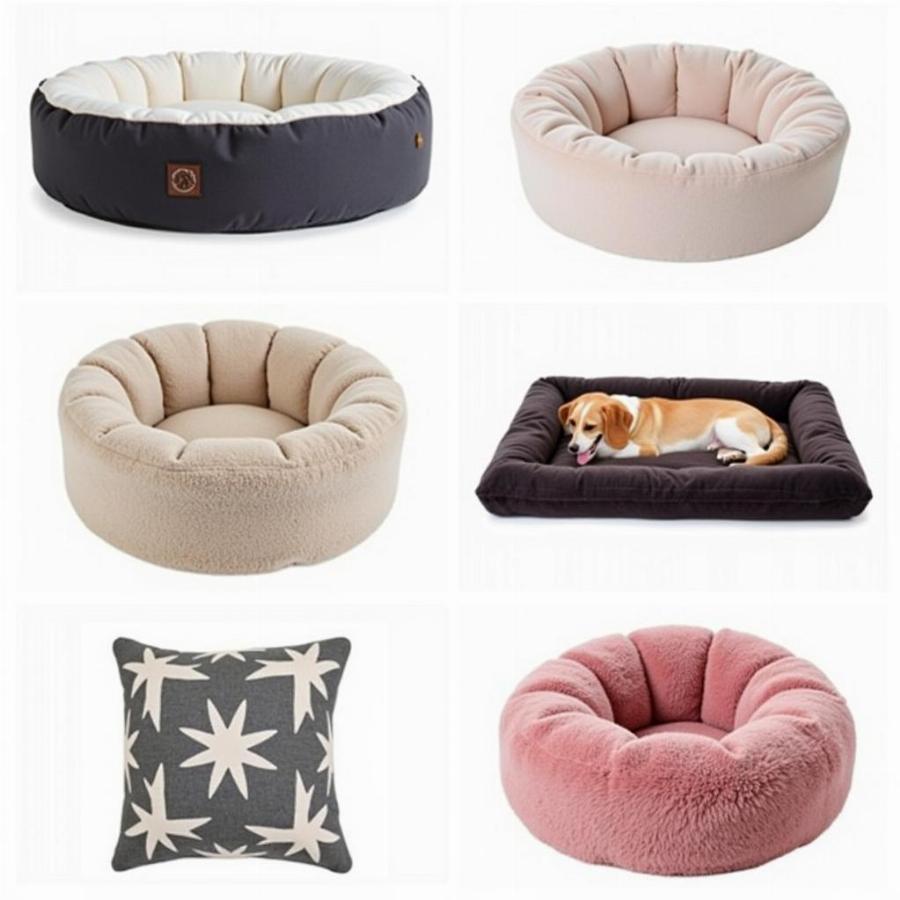 Various Styles of Blanket Dog Beds