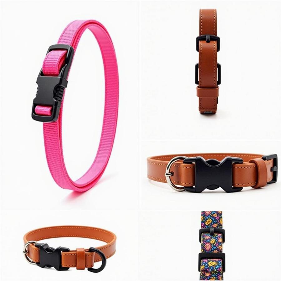 Various Dog Collars for Different Needs