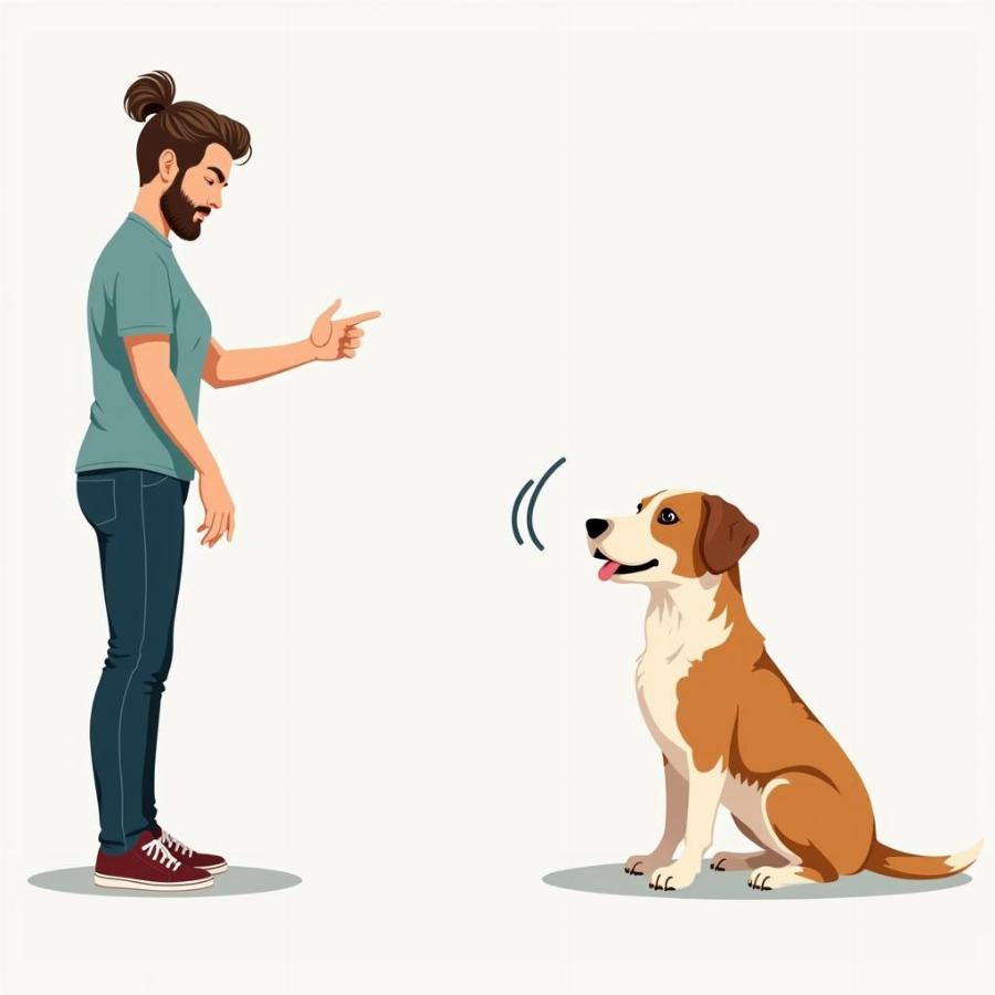 Distance Sit Dog Training