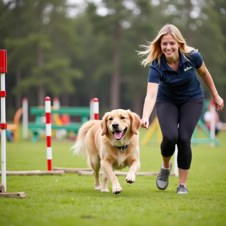 Dog and Trainer on Agility Course