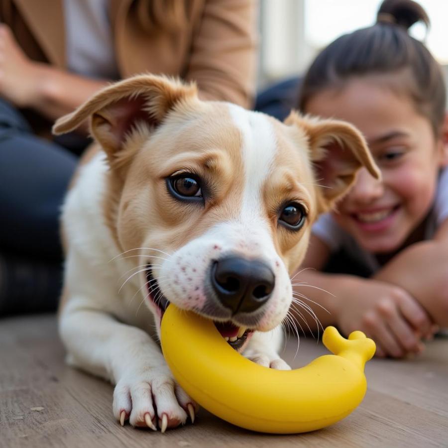 Dog chewing on a safe toy