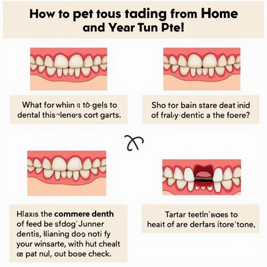 Dog Dental Checkup at Home