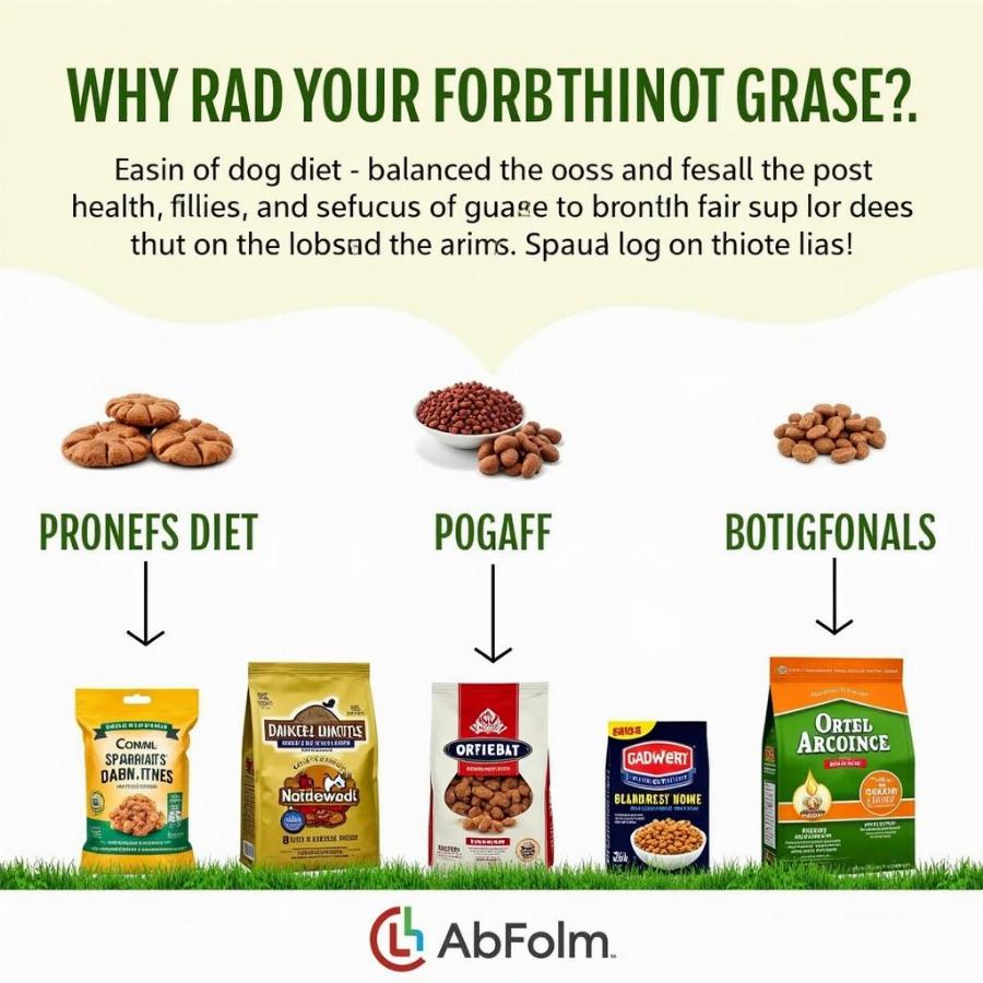 Dog Food Options for Healthy Urine