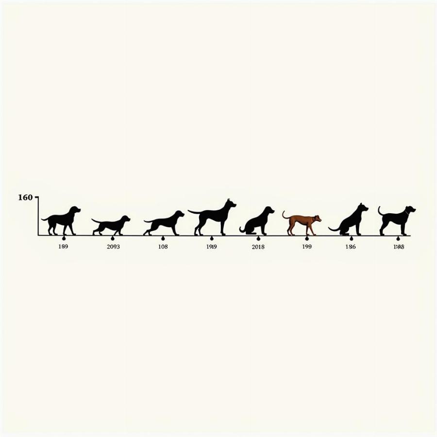 Dog Generations Timeline