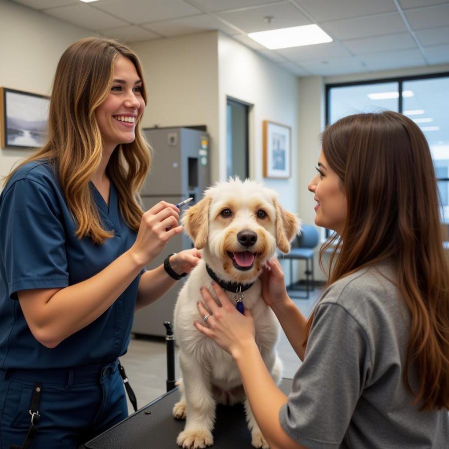 Dog Groomer Consultation