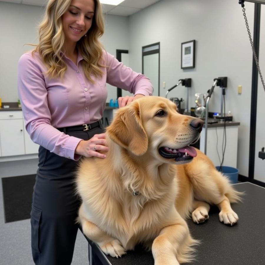 Professional Dog Grooming Salon in Williamsburg VA