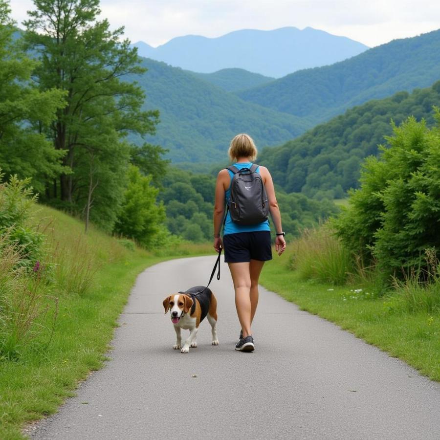 Dog and owner hiking the Gatlinburg Trail in the Smoky Mountains