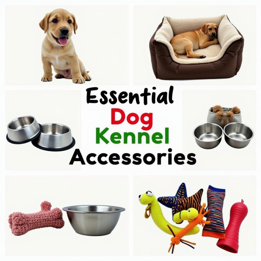 Enrichment Ideas for a 10x10 Dog Kennel