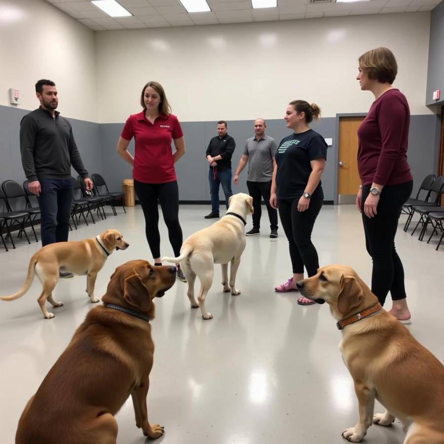 Dog obedience class in Louisville