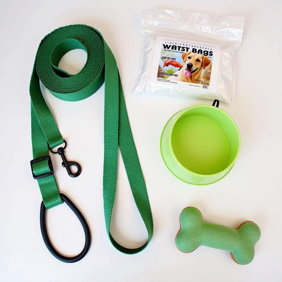 Essential items for a dog park visit