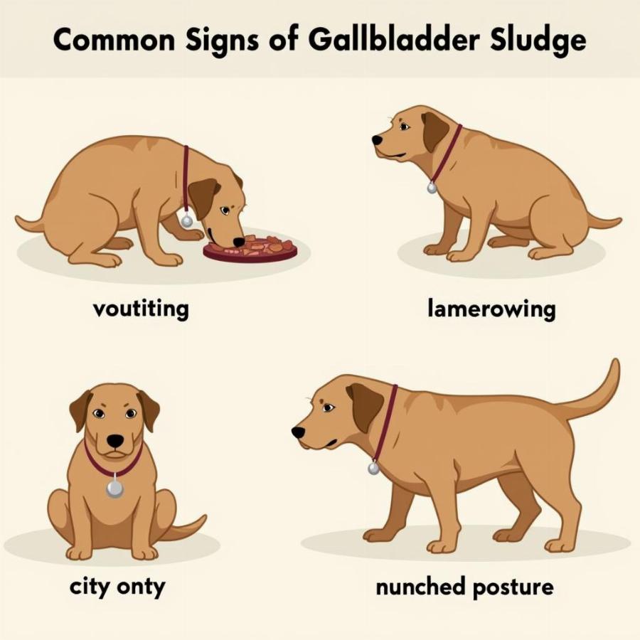 Dog Exhibiting Gallbladder Sludge Symptoms