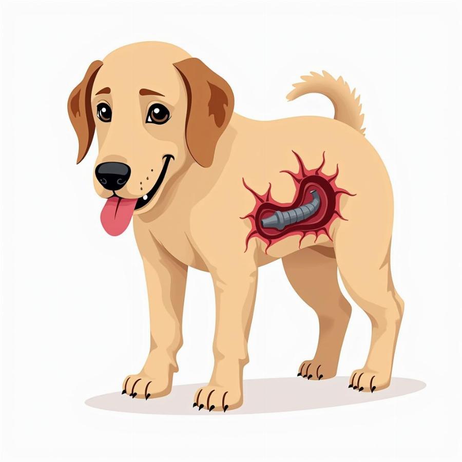 Dog Stomach Blockage Illustration