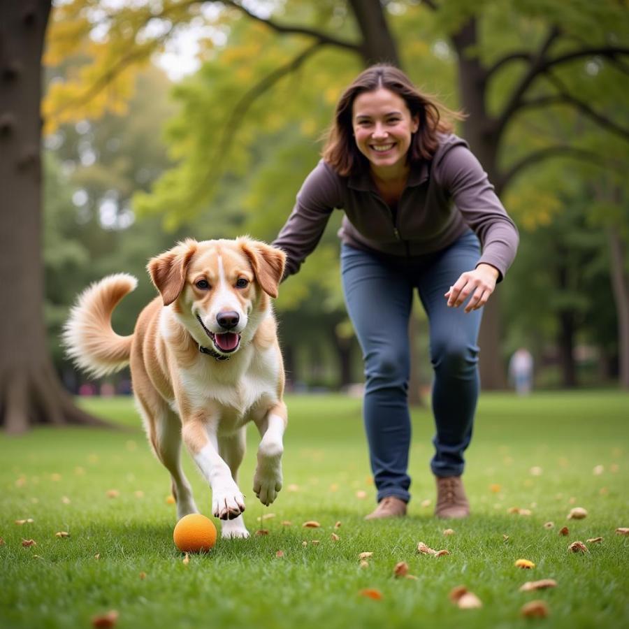 Dog Training Benefits