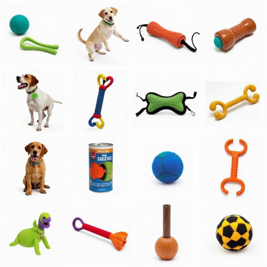 Dog Training Toys and Rewards