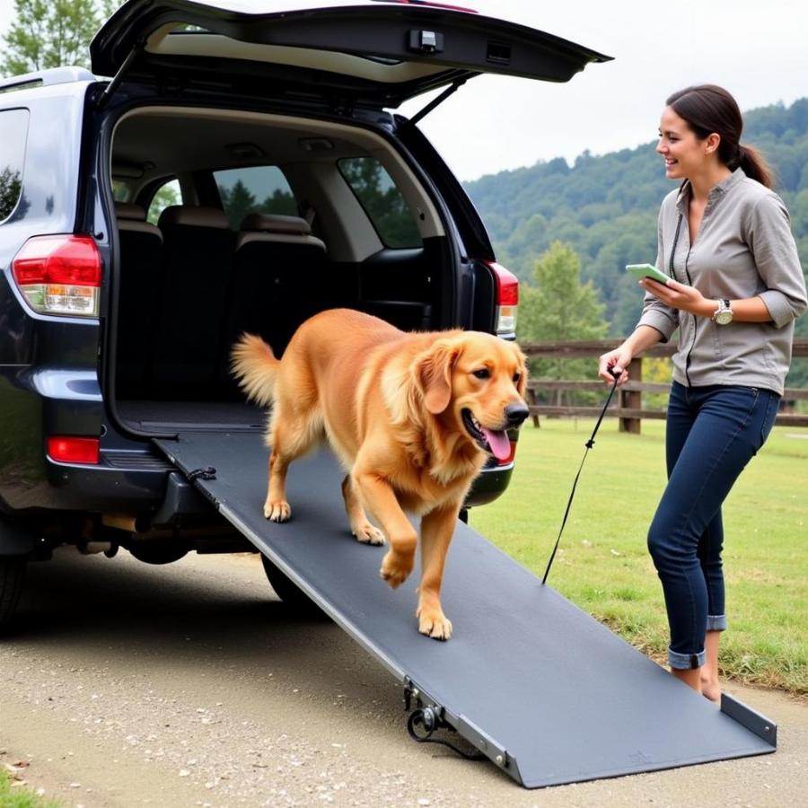 Dog Using Auto Ramp to Enter SUV