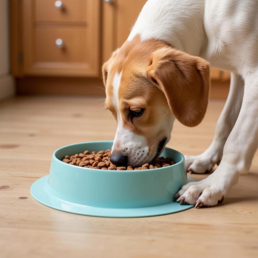 A dog happily eating from a slow feeder bowl