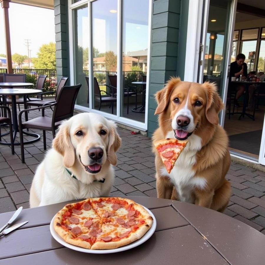 Dogs Sharing a Slice of Pizza at a Dog-Friendly Restaurant