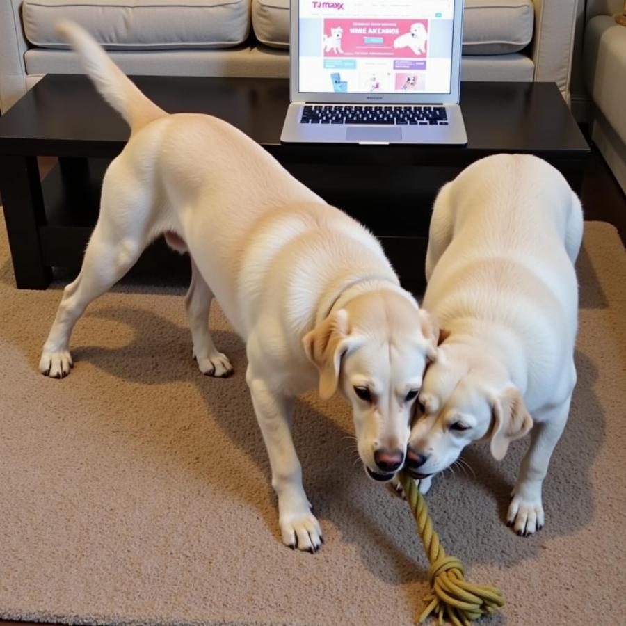 Dogs Playing at Home While Owner Shops Online