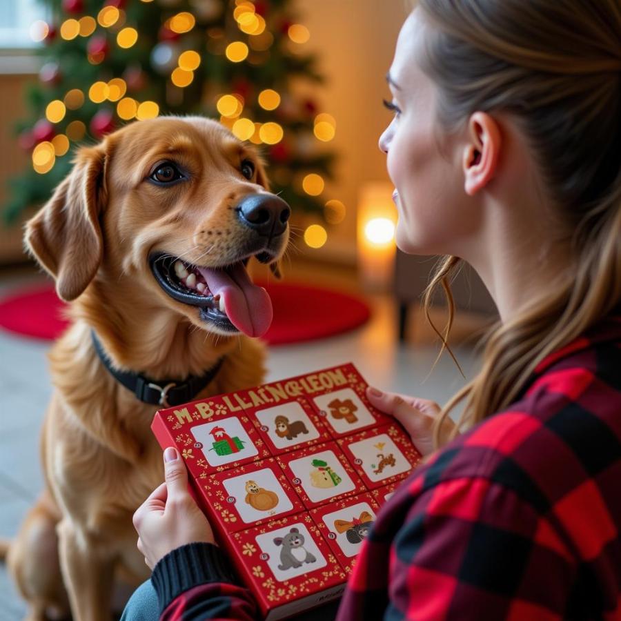 Excited dog with advent calendar