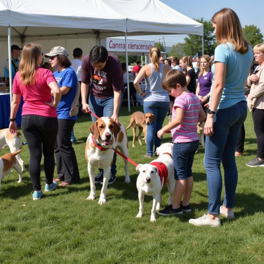 Green Bay Dog Adoption Events