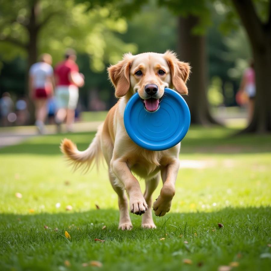 Happy Dog Playing Fetch