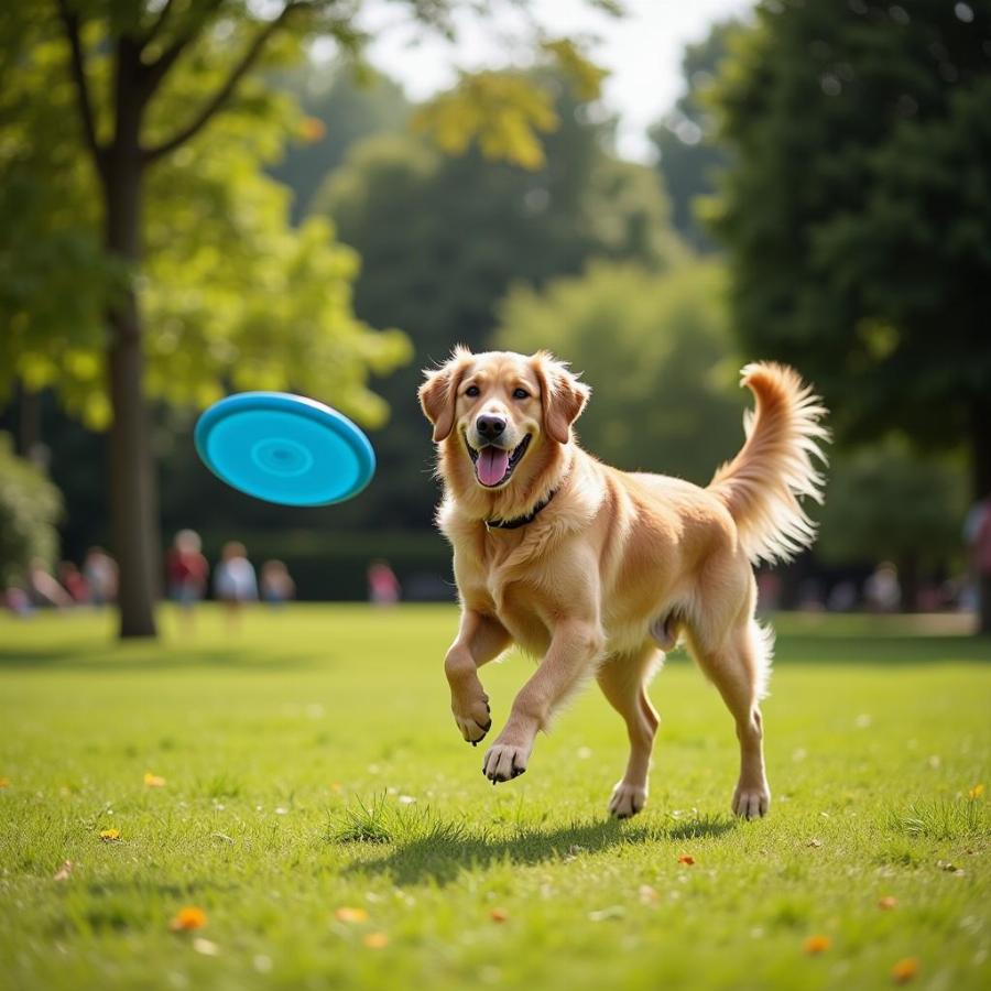 Happy and healthy dog playing fetch