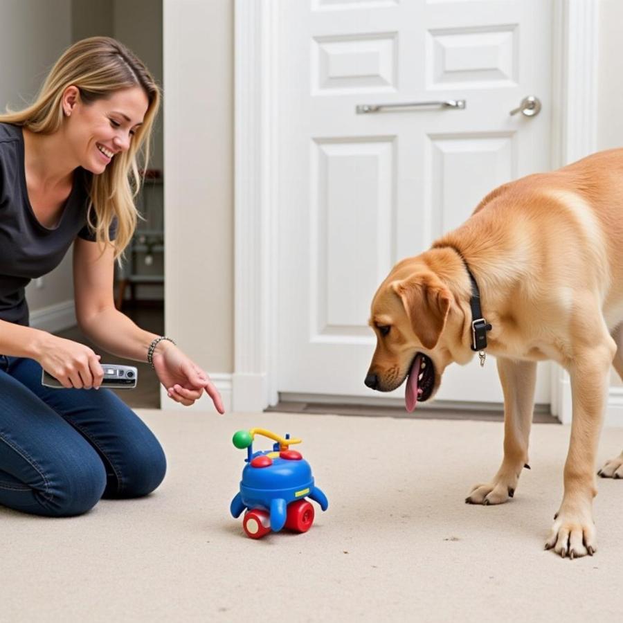 Dog Learning to Play with Remote Controlled Toy