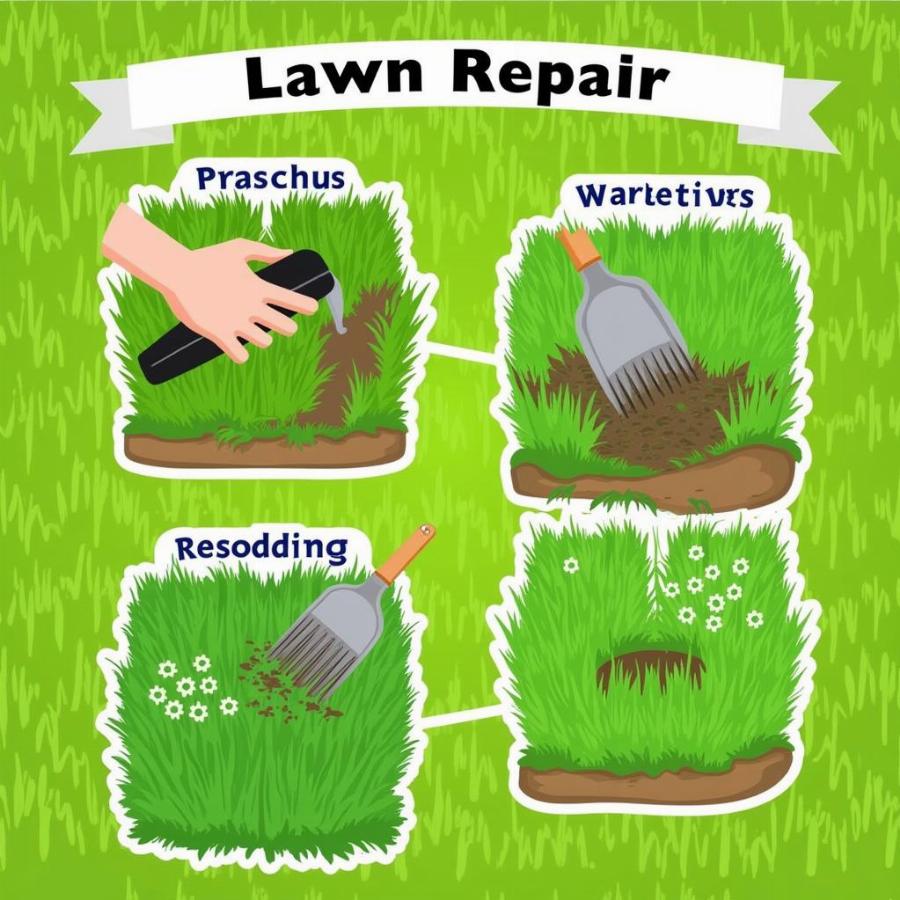 Restoring Lawn Health