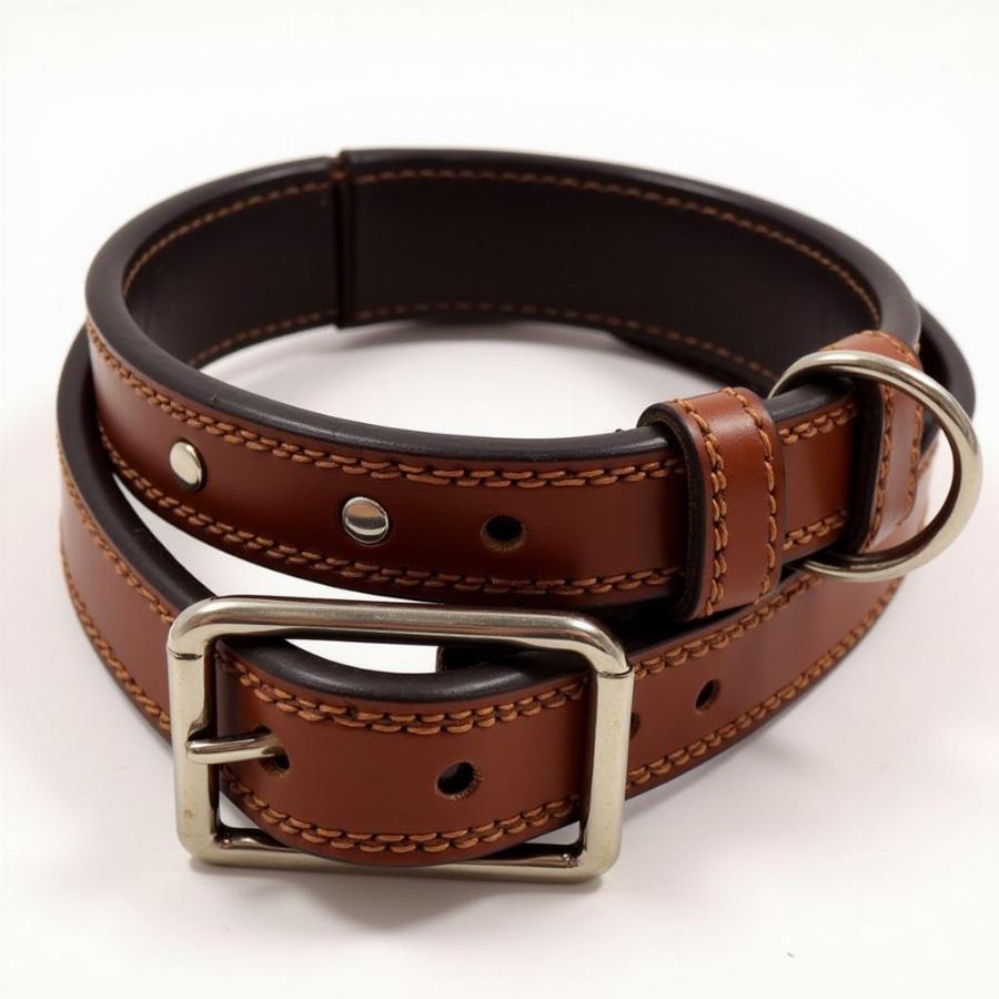 Brown Leather XL Dog Collar