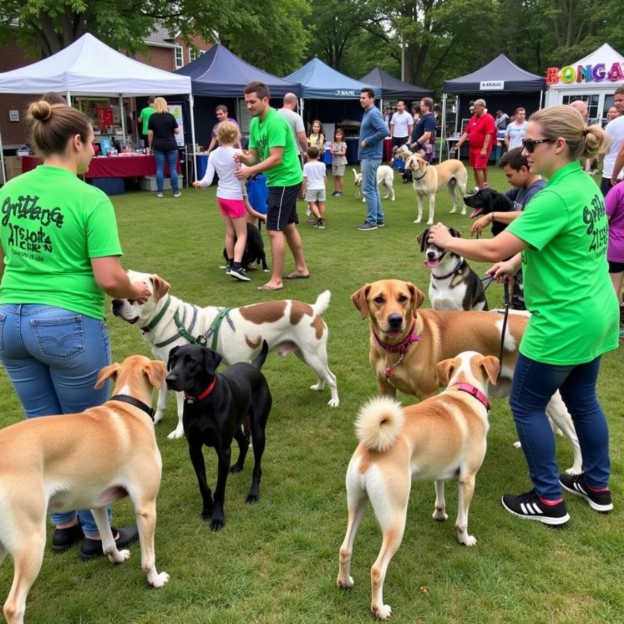 Lollypop Farm dog adoption event