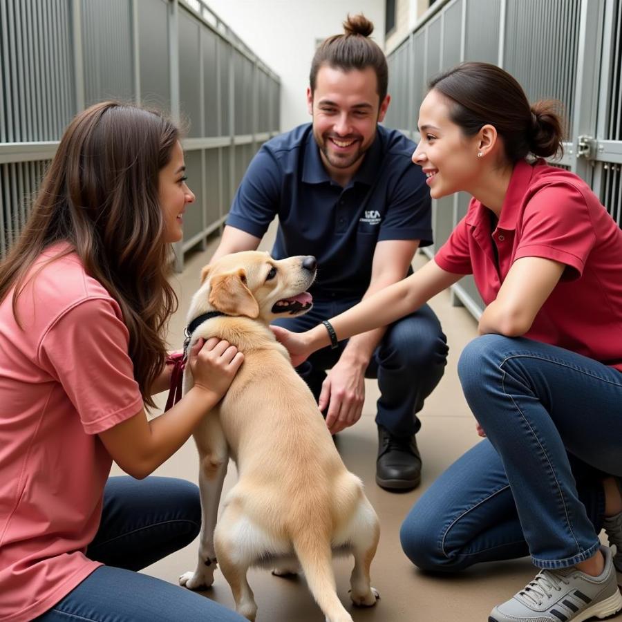 Meeting a Dog at a Kennel