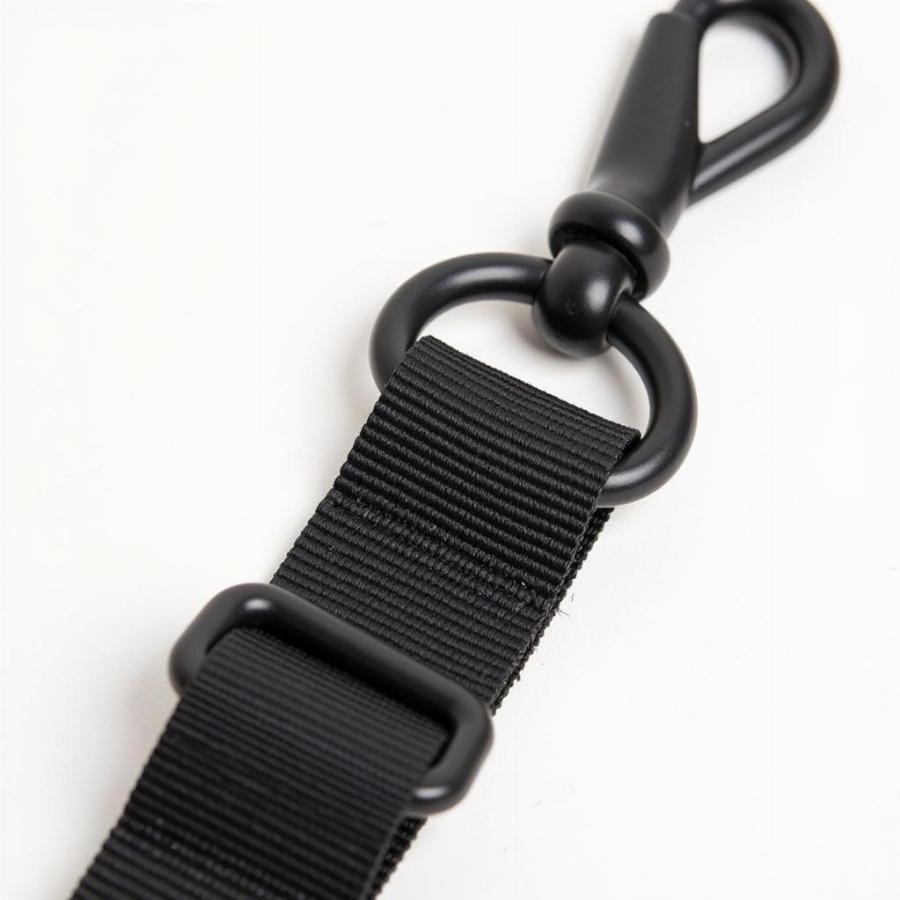 Black Nylon Slip Leash