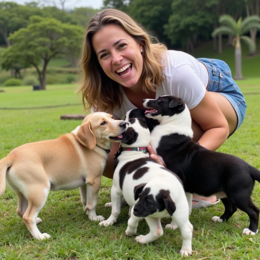 Reputable Dog Breeder on Oahu