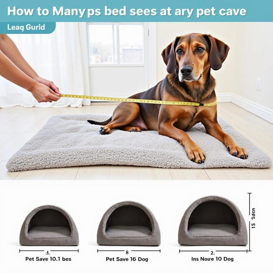 Pet Cave Dog Bed Size Guide