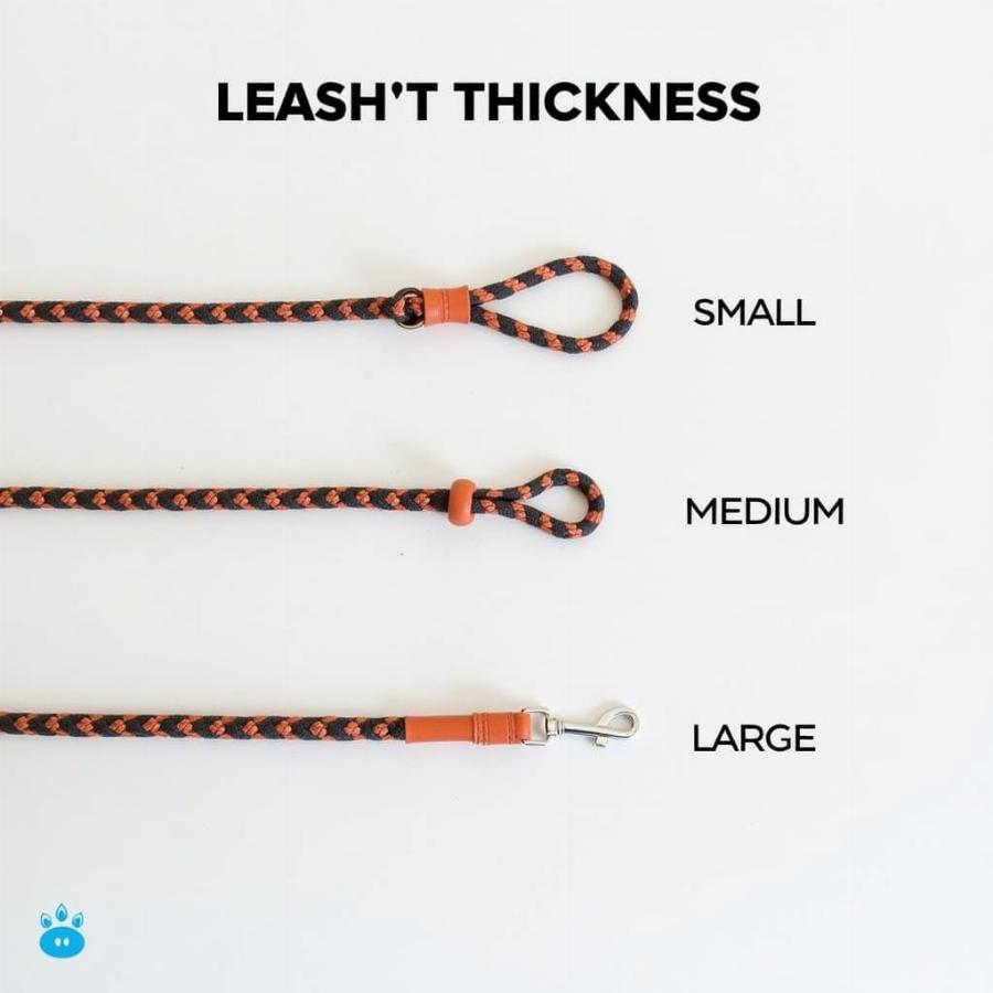 Comparing Different Rope Leash Thicknesses for Various Dog Sizes