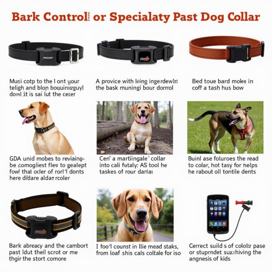 Specialty Collars for Unique Dog Needs