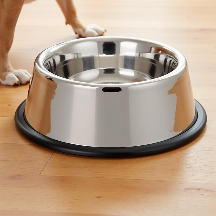 Stainless Steel Bowls for Small Dogs