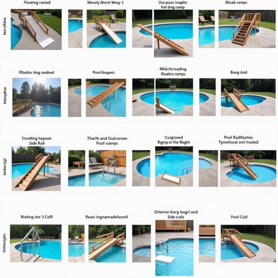 Different Types of Dog Ramps for Pools