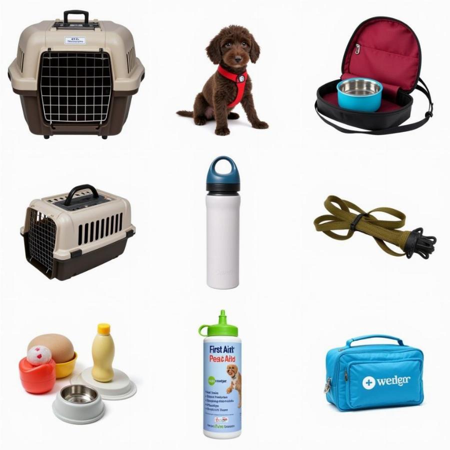 Variety of Dog Travel Accessories