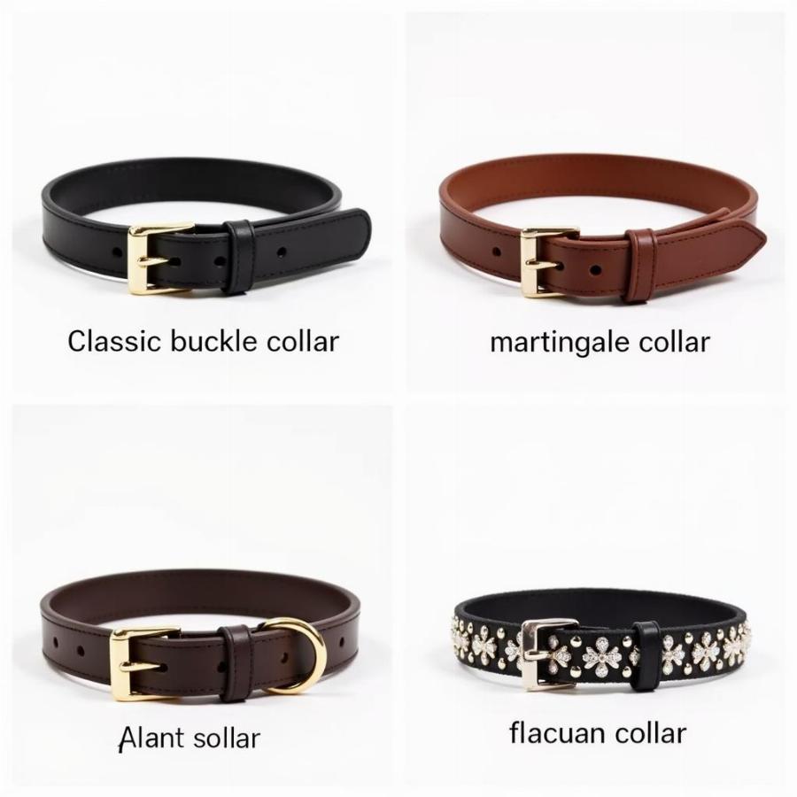 Different Styles of XSmall Dog Collars