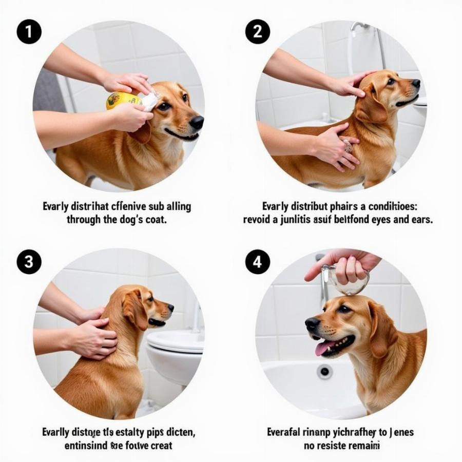 Proper Application of Dog Conditioner