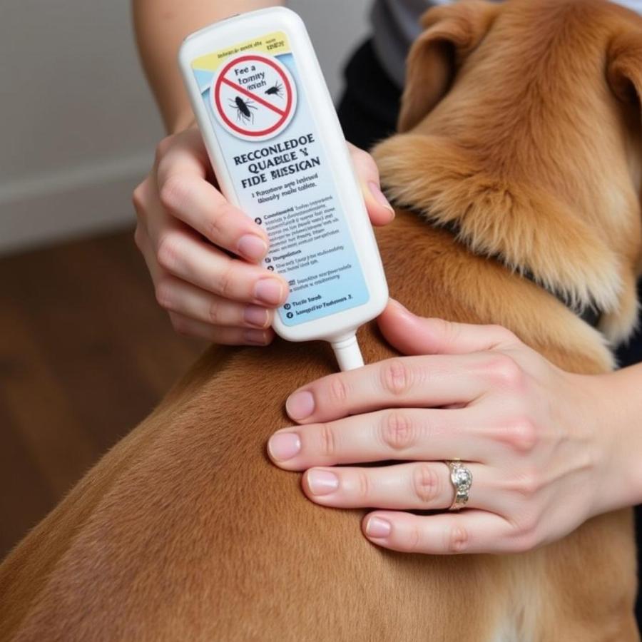 Applying Topical Flea Medication to a Dog