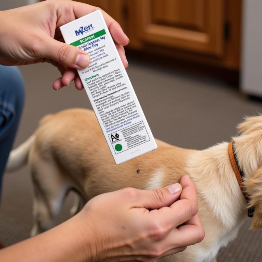 Applying Topical Flea Treatment to a Dog