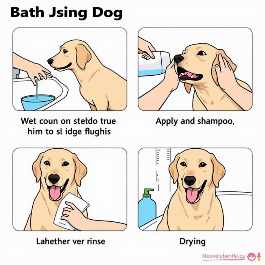 Bathing a Dog with Hartz Shampoo: Proper Techniques and Safety Precautions