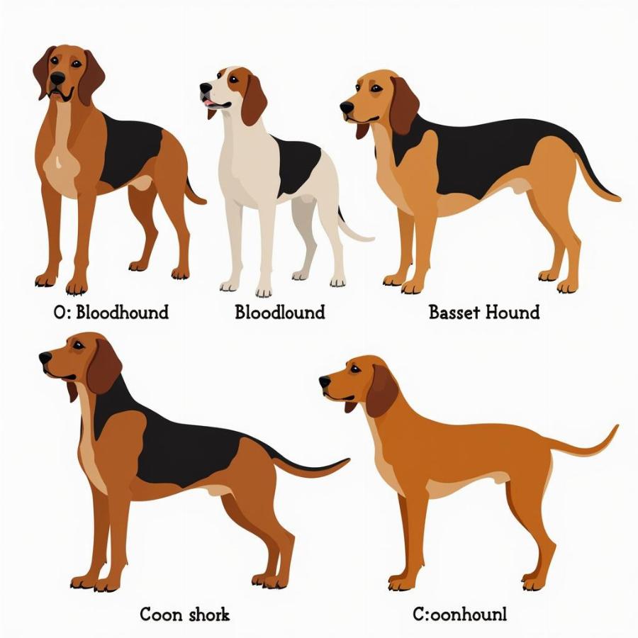 Big Nosed Dog Breeds Comparison