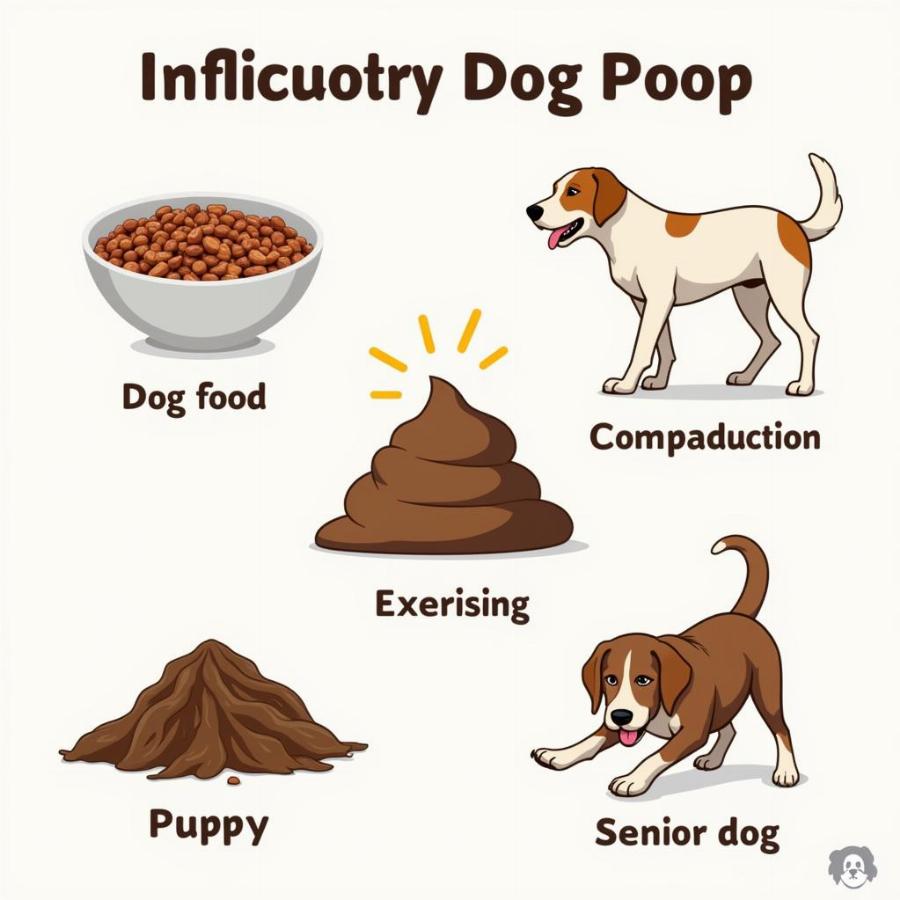 Factors Influencing Dog Poop