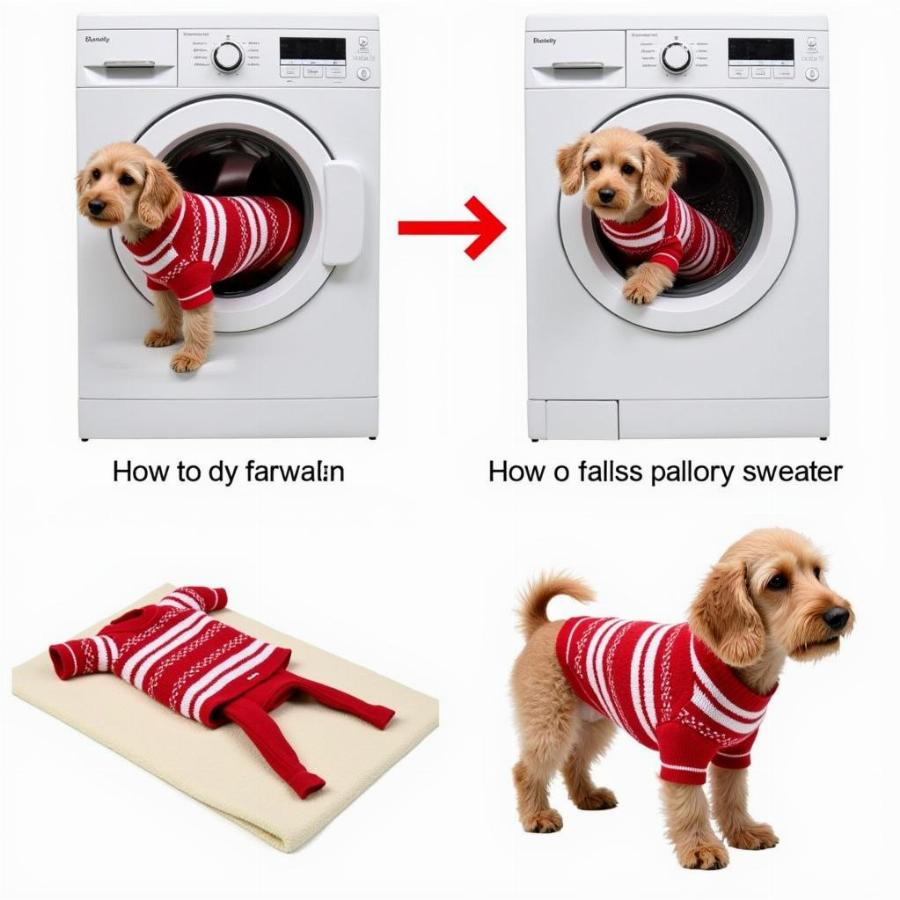 Washing and Drying a Custom Dog Sweater