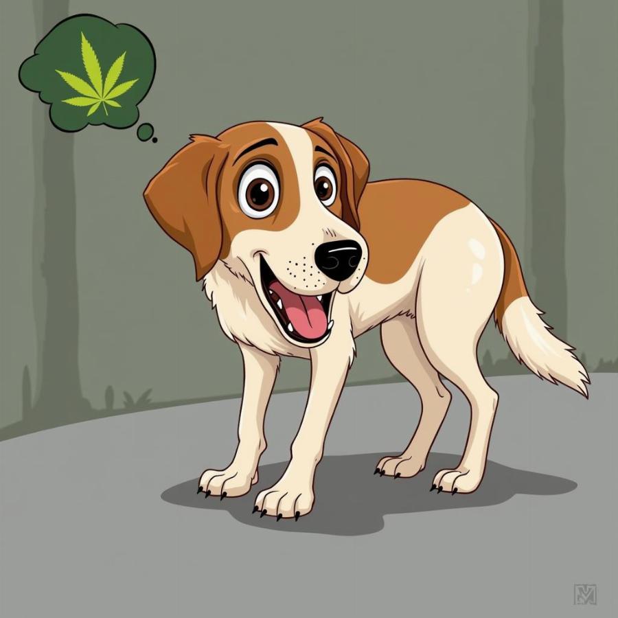 Dog Showing Signs of Marijuana Poisoning